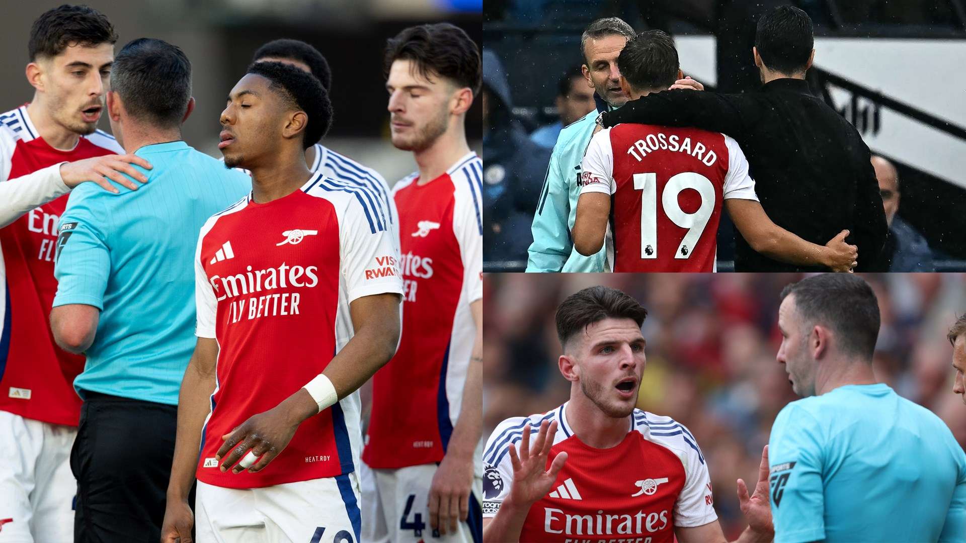 莱利一贯有 莱利一贯有